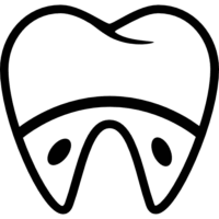 molar-and-roots